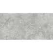 Florys Light Grey Matt 59.8cm x 119.8cm Wall and Floor Tile