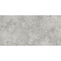 Florys Light Grey Matt 59.8cm x 119.8cm Wall and Floor Tile