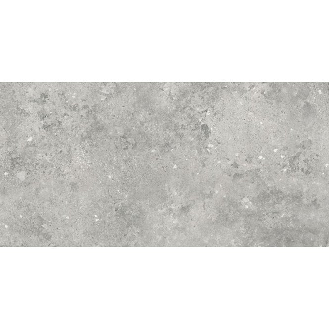 Florys Light Grey Matt 59.8cm x 119.8cm Wall and Floor Tile