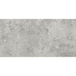 Florys Light Grey Matt 59.8cm x 119.8cm Wall and Floor Tile