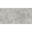 Florys Light Grey Matt 59.8cm x 119.8cm Wall and Floor Tile