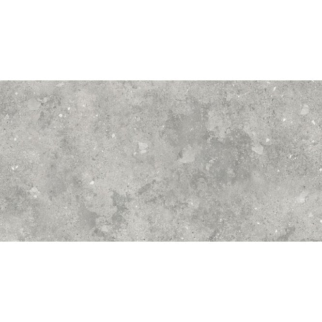 Florys Light Grey Matt 59.8cm x 119.8cm Wall and Floor Tile