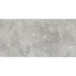 Florys Light Grey Matt 59.8cm x 119.8cm Wall and Floor Tile