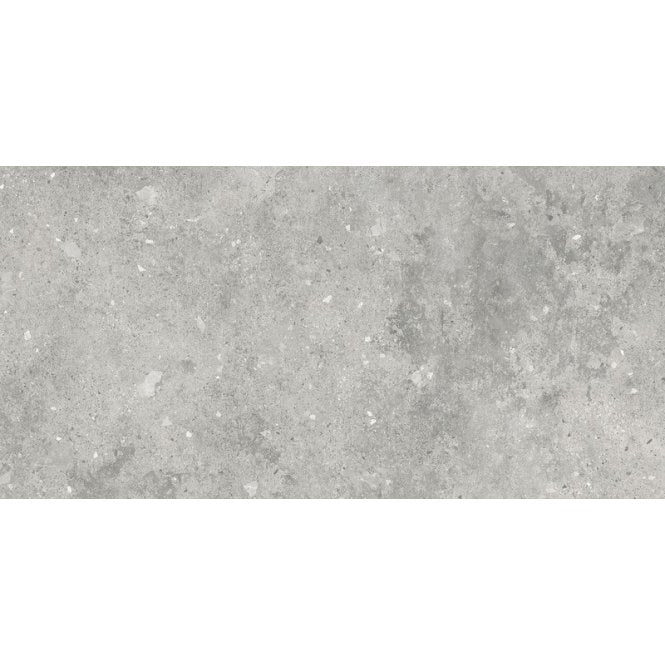 Florys Light Grey Matt 59.8cm x 119.8cm Wall and Floor Tile