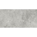 Florys Light Grey Matt 59.8cm x 119.8cm Wall and Floor Tile