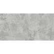 Florys Light Grey Matt 59.8cm x 119.8cm Wall and Floor Tile