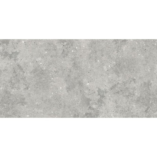 Florys Light Grey Matt 59.8cm x 119.8cm Wall and Floor Tile
