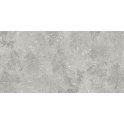 Florys Light Grey Matt 59.8cm x 119.8cm Wall and Floor Tile