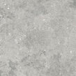 Florys Light Grey Matt 59.8cm x 59.8cm Wall and Floor Tile