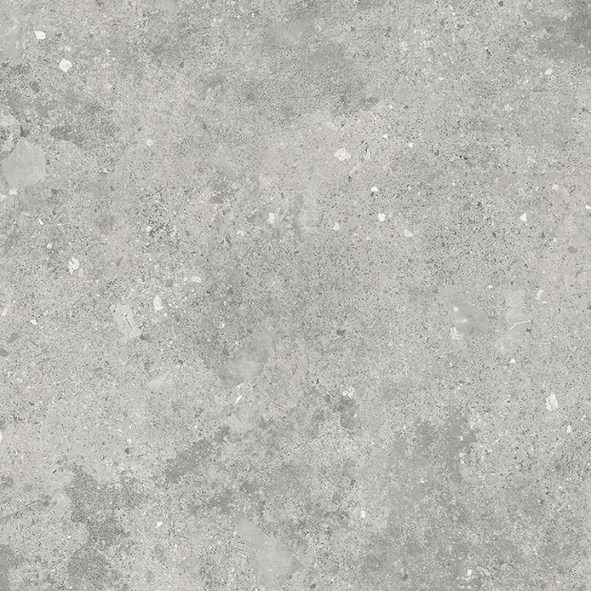 Florys Light Grey Matt 59.8cm x 59.8cm Wall and Floor Tile
