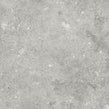 Florys Light Grey Matt 59.8cm x 59.8cm Wall and Floor Tile