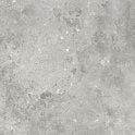 Florys Light Grey Matt 59.8cm x 59.8cm Wall and Floor Tile