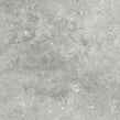 Florys Light Grey Matt 59.8cm x 59.8cm Wall and Floor Tile