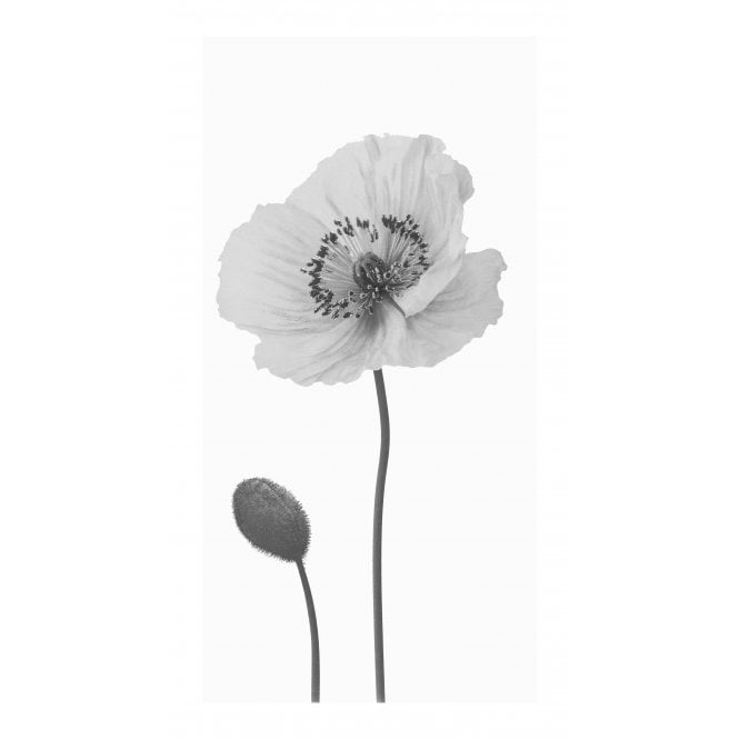 Flower Decor Pattern 30cm x 60cm Wall Tile (3 Tiles)