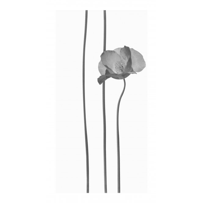 Flower Decor Pattern 30cm x 60cm Wall Tile (3 Tiles)