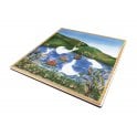 Heckstream Focas Sealion 30cm x 30cm Plaque Tile