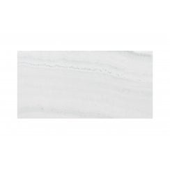 Fossil Grey 25cm x 50cm Wall Tile