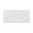 Fossil Grey 25cm x 50cm Wall Tile