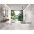 Frozen River 75cm x 150cm Wall & Floor Tile