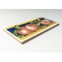 Heckstream Gala Apple 7.5cm x 15cm Border Tile