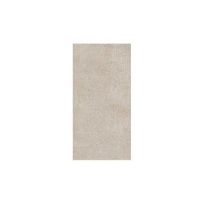 Galeo Grey Matt 60cm x 120cm Wall & Floor Tile