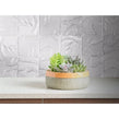 Gia Pearl Sparkle 9.8cm x 9.8cm Glass Tile