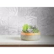 Gia Pearl Sparkle 9.8cm x 9.8cm Glass Tile