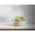 Gia Pearl Sparkle 9.8cm x 9.8cm Glass Tile