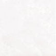 Glacier White 60cm x 60cm Wall & Floor Tile