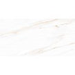 Gold Marmi Statuario Polished 60cm x 120cm Wall and Floor Tile