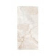 Grace Crystal Polished 60cm x 120cm Wall & Floor Tile
