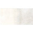 Italian Design Hemisphere Platinum 60cm x 120cm Wall and Floor Tile