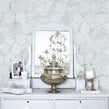 Hexagon Calacatta Matt (9.5cm x 9.5cm) 25.6cm x 19.7cm Mosaic Tile
