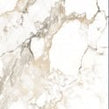 Holland Ice Gloss Wall & Floor Tile 60cm x 60cm