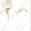 Holland Ice Gloss Wall & Floor Tile 60cm x 60cm