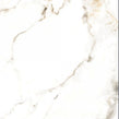 Holland Ice Gloss Wall & Floor Tile 60cm x 60cm