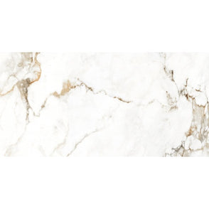 Holland Ice Matt Wall & Floor Tile 60cm x 120cm