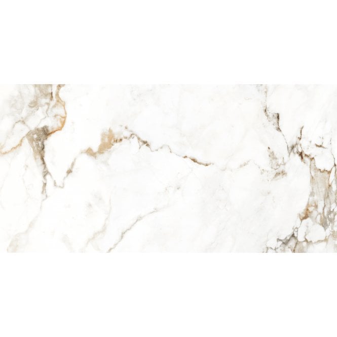 Holland Ice Matt Wall & Floor Tile 60cm x 120cm