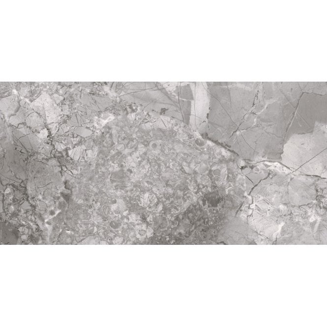 Ice Grey 25cm x 50cm Wall Tile