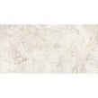 Ice White 25cm x 50cm Wall Tile
