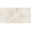 Ice White 25cm x 50cm Wall Tile