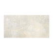Jasmine Onyx 25cm x 50cm Wall Tile
