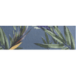 Jungle Tapis Eden 10cm x 30cm Wall Tile