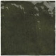 Equipe La Riviera Botanical Green 13.2cm x 13.2cm Wall Tile