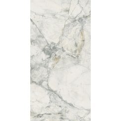Leonardo White Carving 60cm x 120cm Wall and Floor Tile
