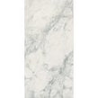 Leonardo White Carving 60cm x 120cm Wall and Floor Tile