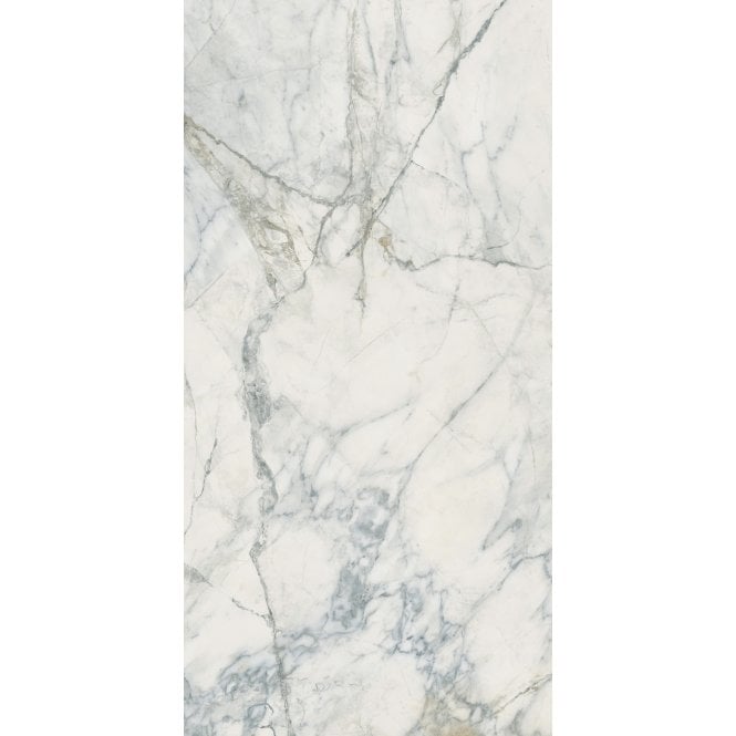 Leonardo White Carving 60cm x 120cm Wall and Floor Tile
