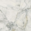 Leonardo White Carving 60cm x 60cm Wall and Floor Tile