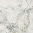 Leonardo White Carving 60cm x 60cm Wall and Floor Tile