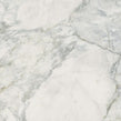 Leonardo White Carving 60cm x 60cm Wall and Floor Tile